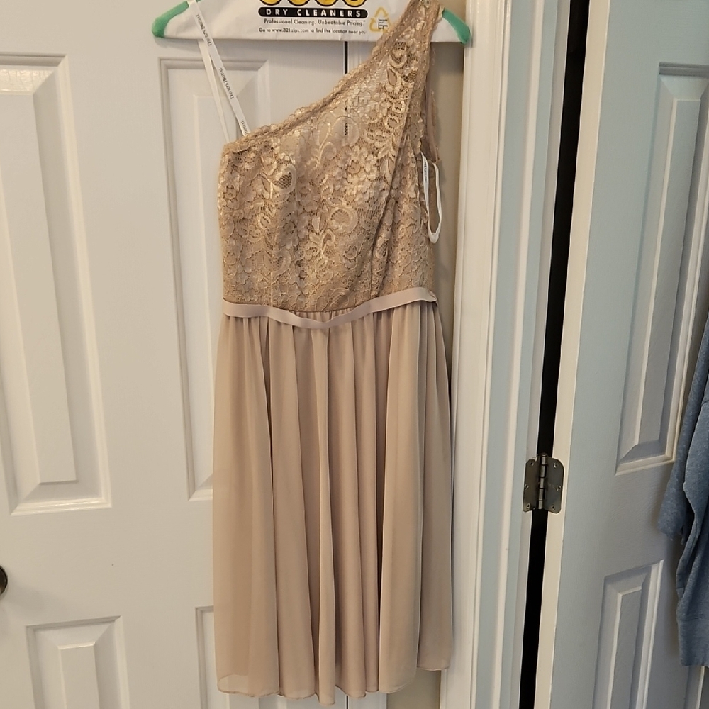 David's Bridal Beige Lace Dress